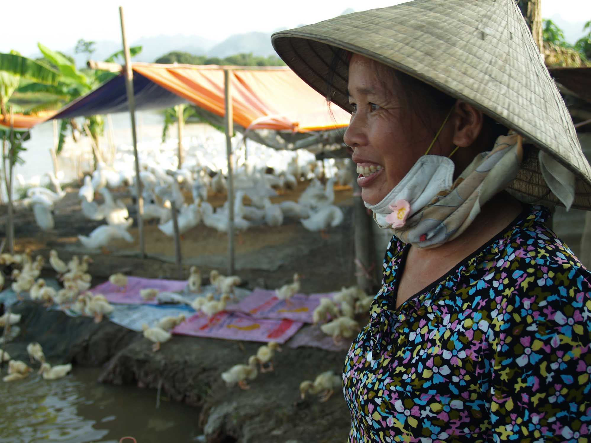 Hoang Thi Tien’s at her duck farm in Que Commune, Kim Bang District, Ha Nam Province, only 100 metres from where 130 of her neighbour's ducks had to be culled because of avian influenza.