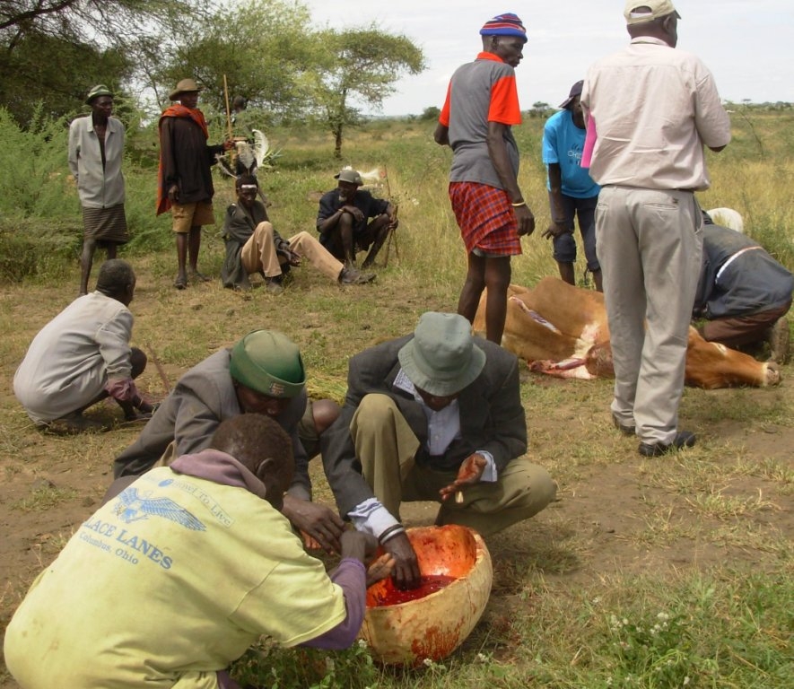 Men share a calabash of blood gotten from a slaughtered bull. There is acute food shortage in Karamoja. 