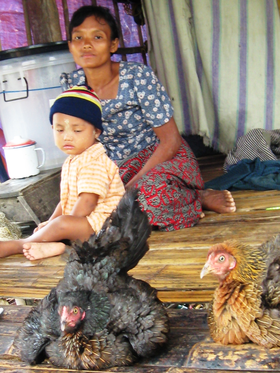 Khin Shwe exchanged her son's jeans for two chickens - all in the hope ...