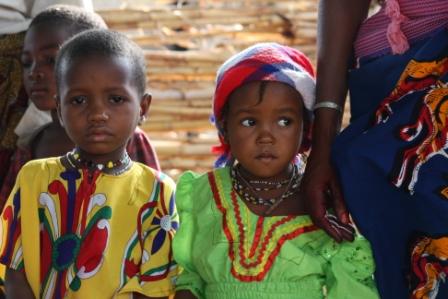 ECHO/MSF meningitis vaccination campaign, Gombe