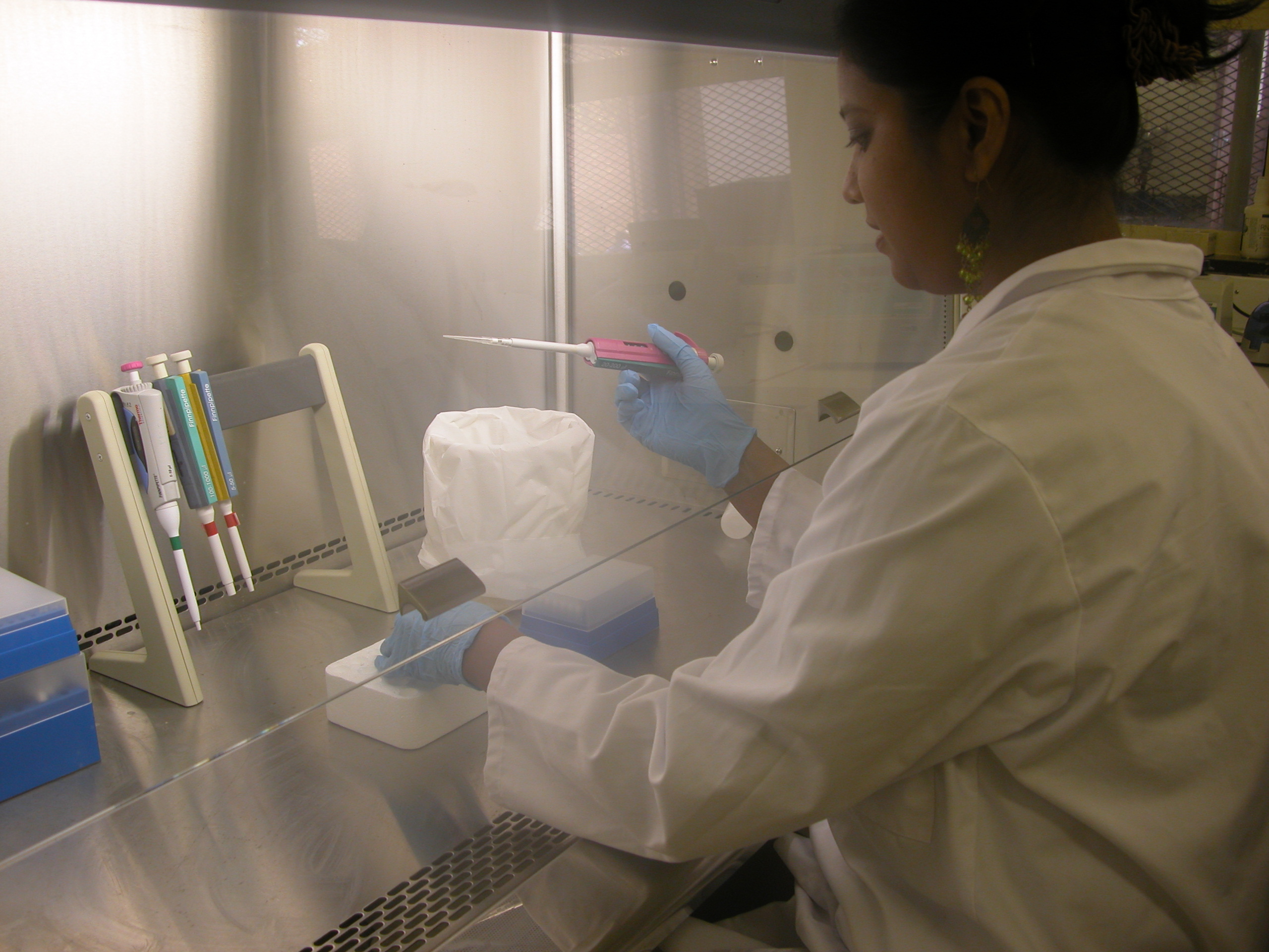 Shelina Moonsamy isolates the wild polio virus which is used for sequencing at the NICD