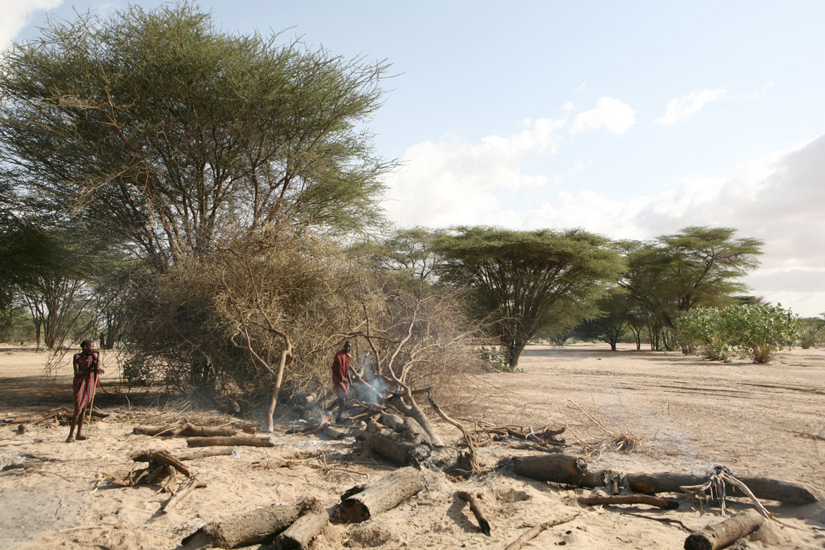 A man makes charcoal from a recently felled tree in the Turkana region of northwestern Kenya. As drought, disease, armed conflict and lack of development render the pastoralist lifestyle ever less viable, people are turning to other ways of eking out a li