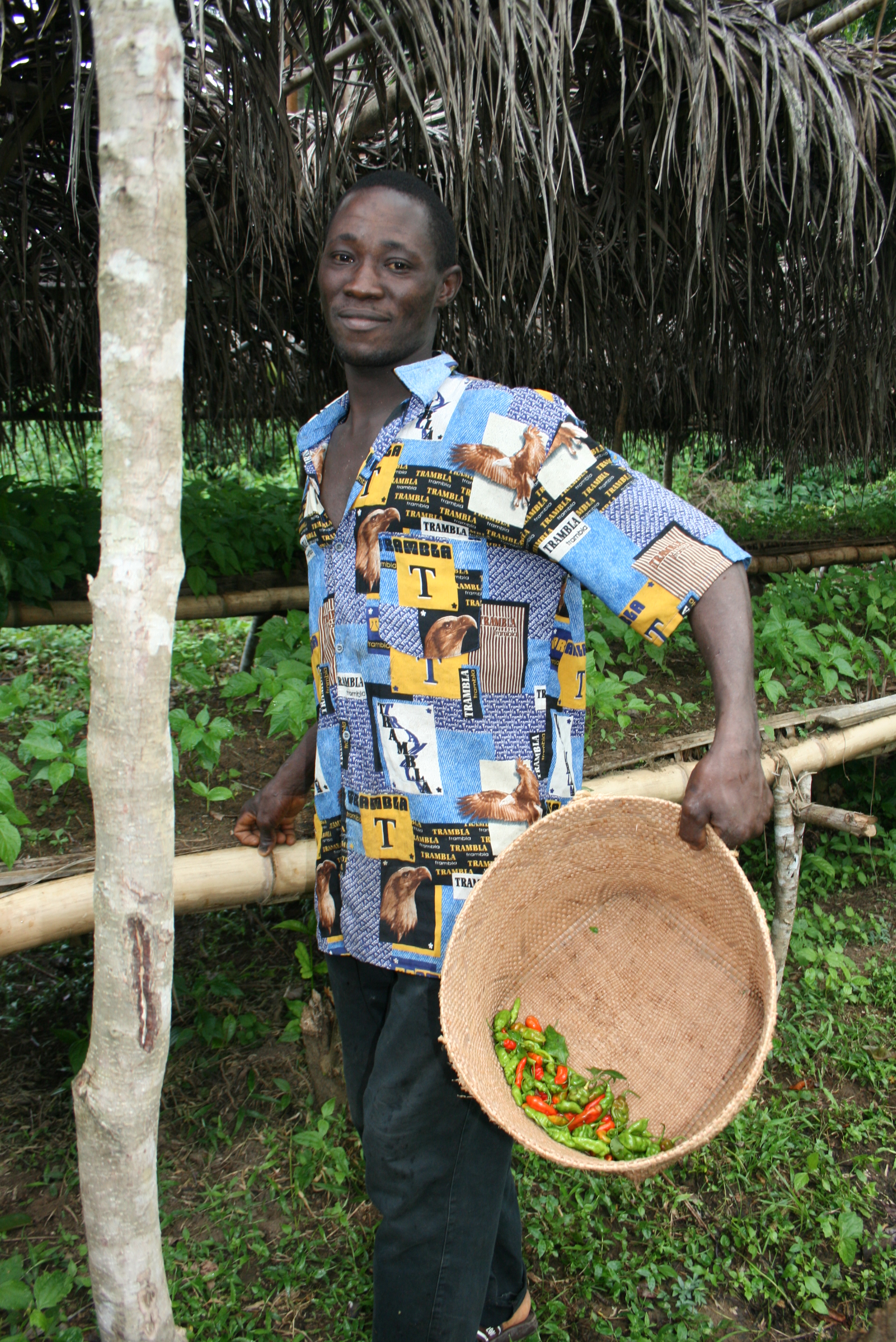 Resident of Gbarnga-ta village in Bong county shows IRIN the red hot peppers they have grown to sell to nearby villages. CRS and Caritas-supported programme