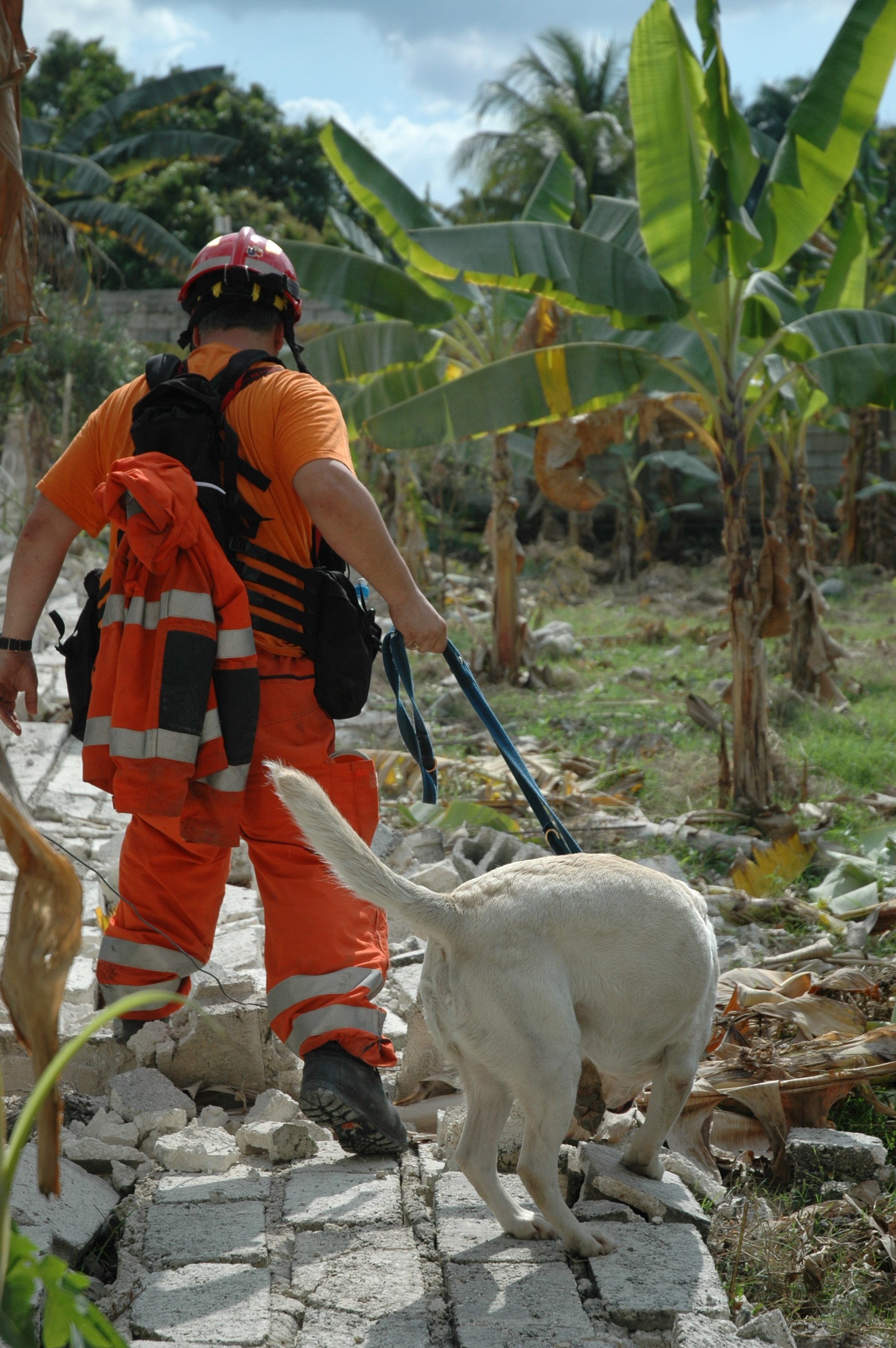 Rescue worker with sniffer dog, Leogane, Haiti, Jan 2010