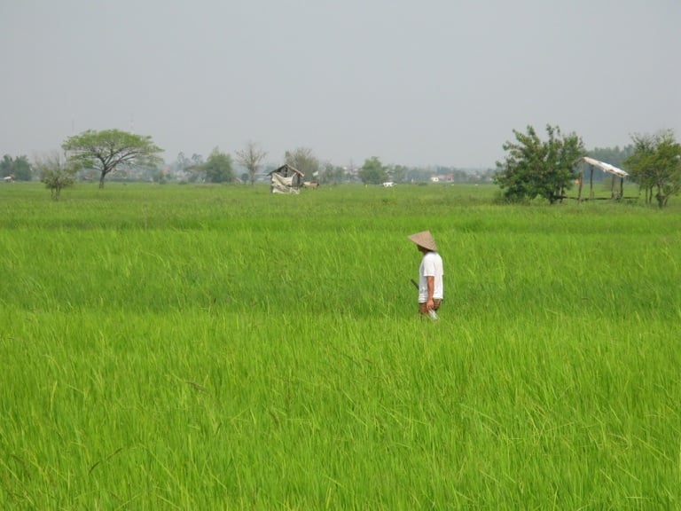 The Beun That Luang Wetland provides livelihoods for thousands of residents