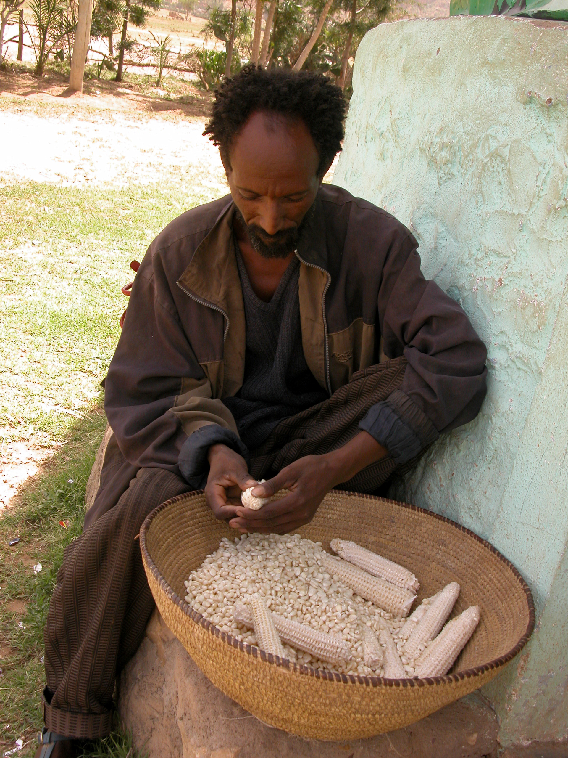 A farmer in Tigray, Ethiopia
