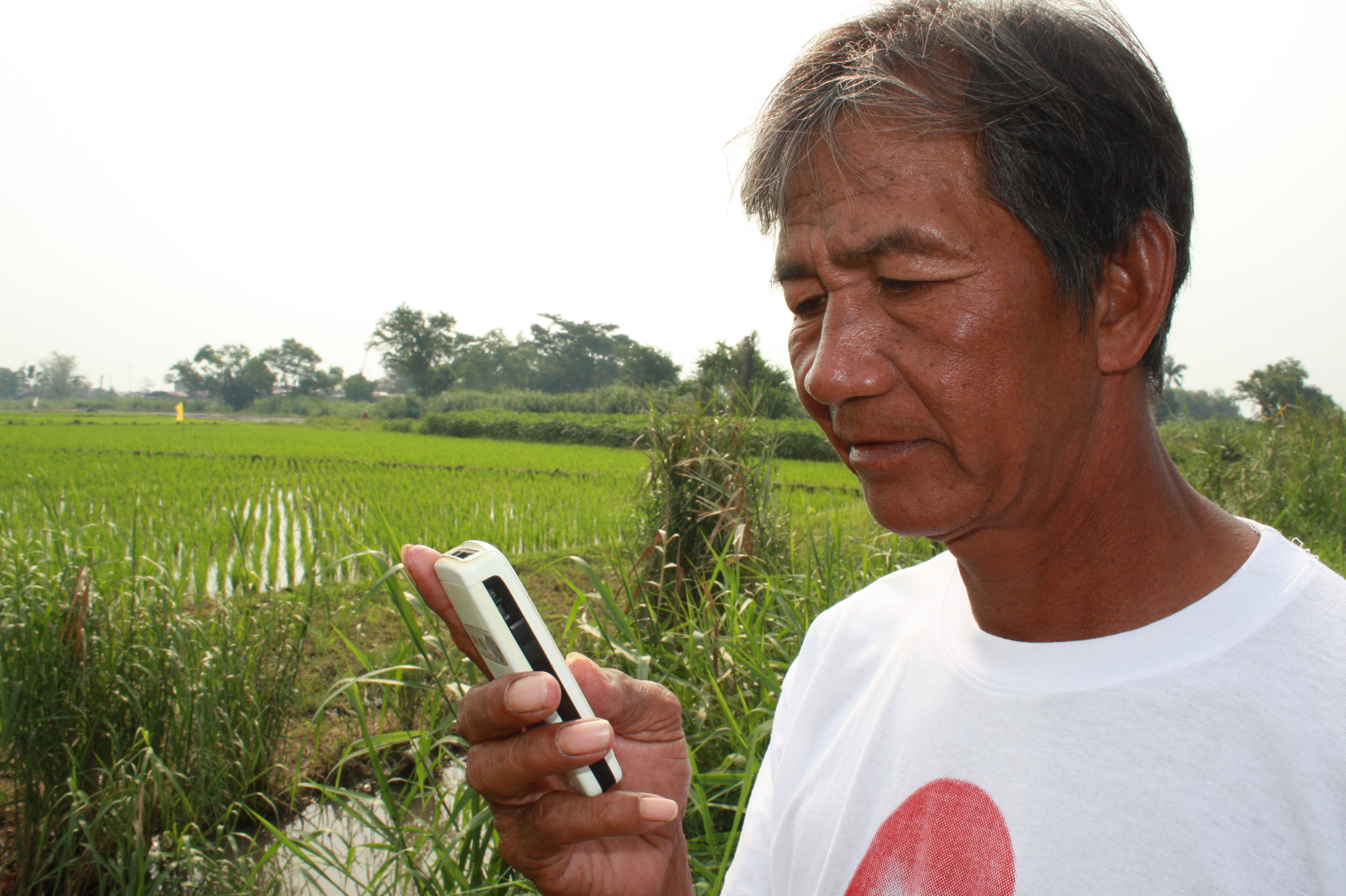 Nonilan Sulibat, a rice farmer in Laguna Province, will soon receive expert advice on how to increase his field's productivity on his mobile phone. Rice is a staple part of the Filipino diet