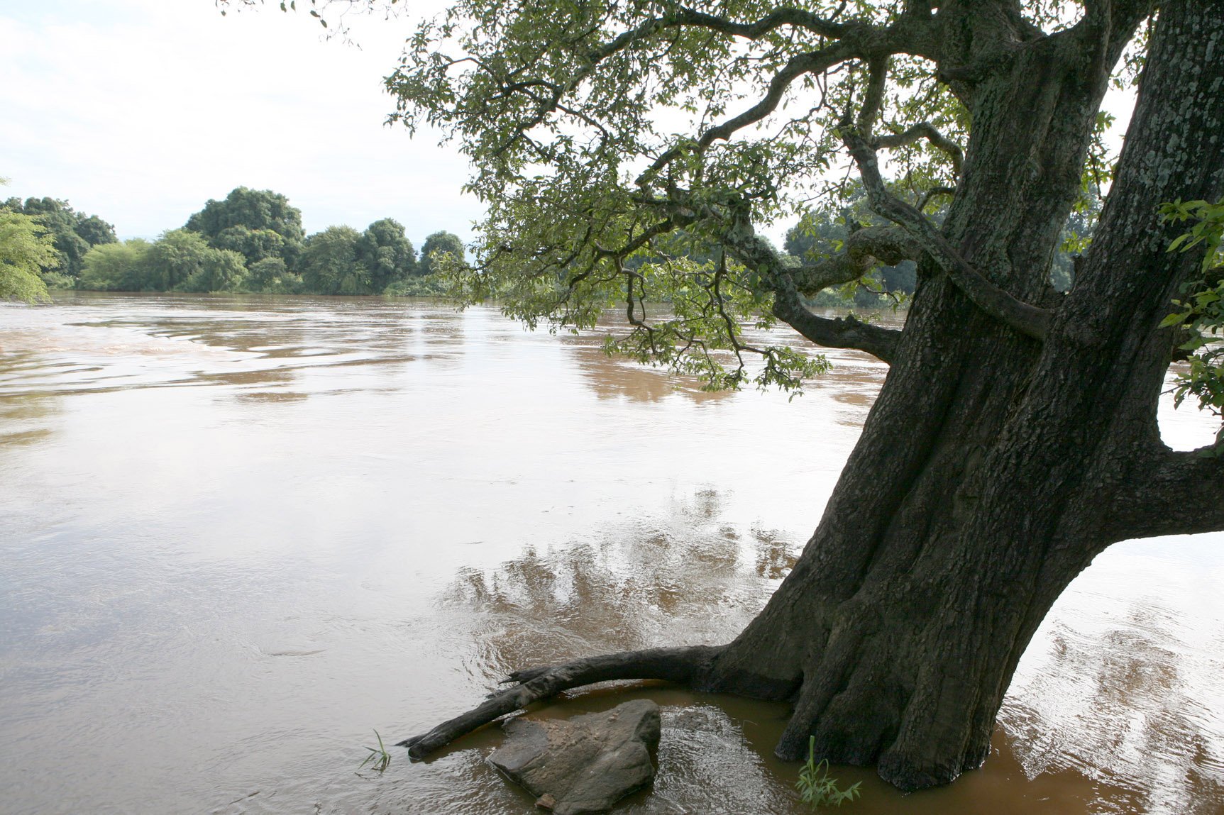 the-swollen-baro-river-near-the-western-ethiopia-city-of-gambella