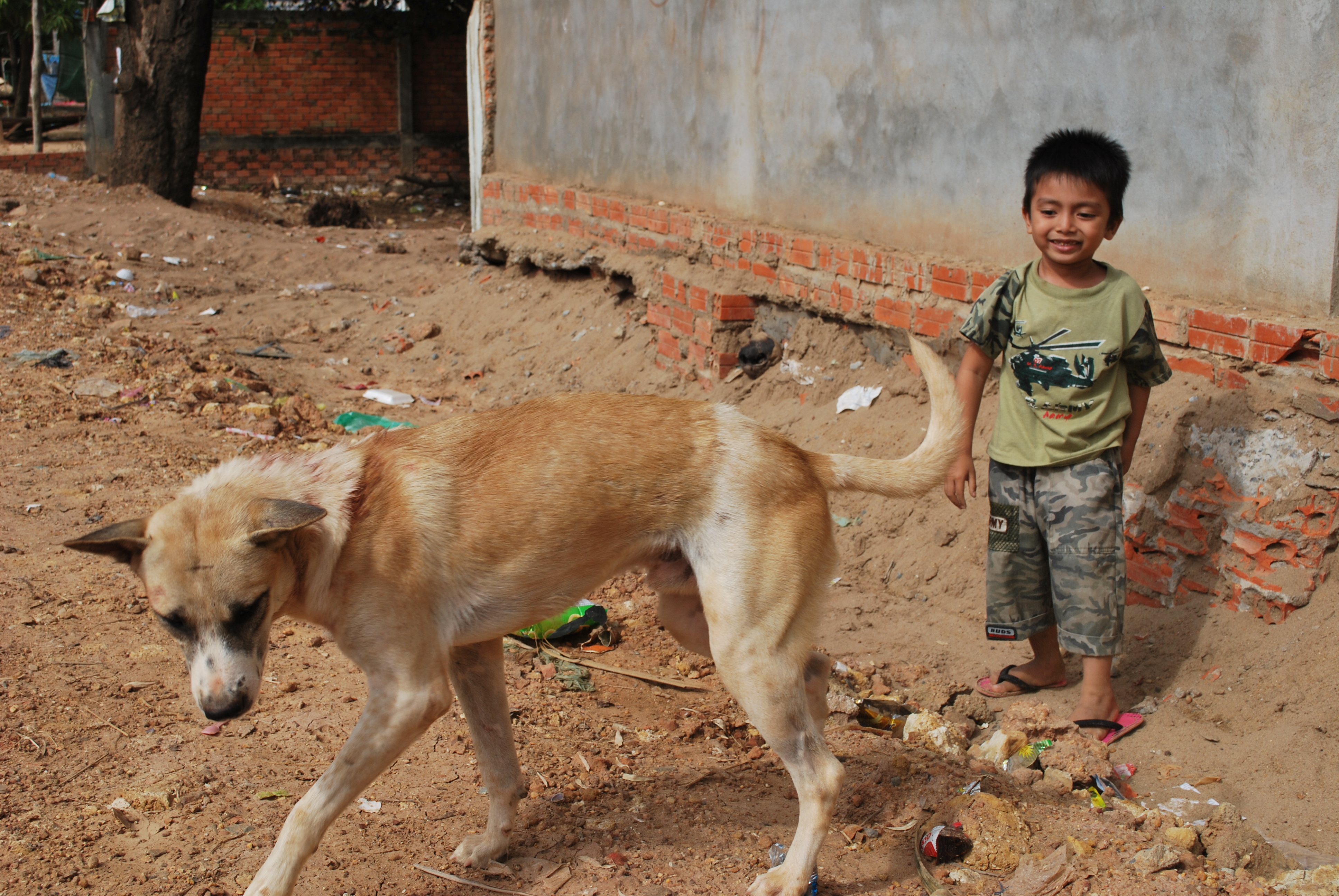 Hundreds of people reportedly die of rabies each year