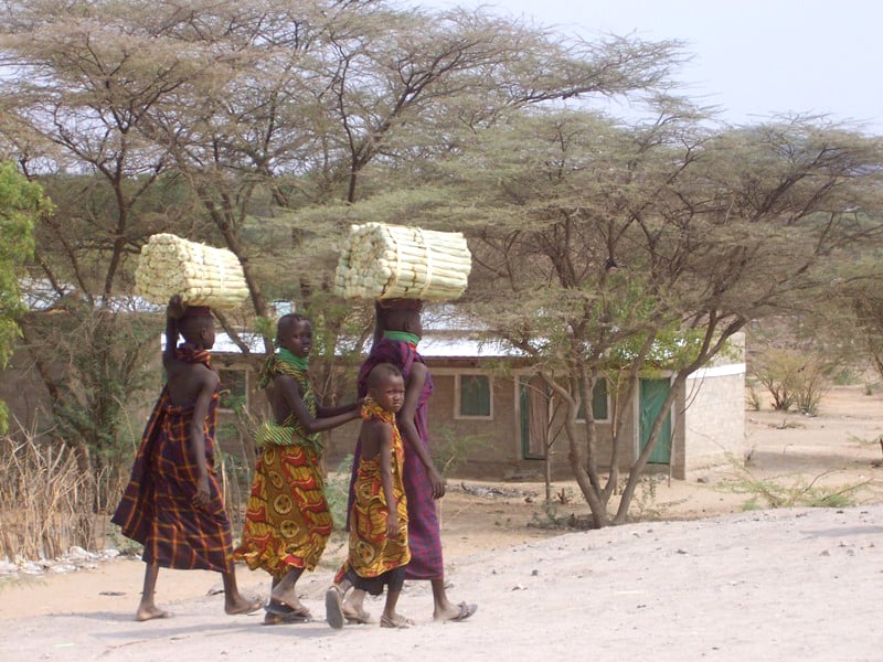 Young Turkana girls carry traditional brooms to a local market for sale in northern Kenya