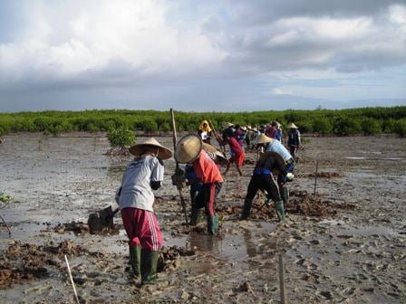 Village women digging a tidal creek to facilitate drainage of a waterlogged abandoned aquaculture ponds for ecological mangrove rehabilitation on Tanakeke Island, South Sulawesi