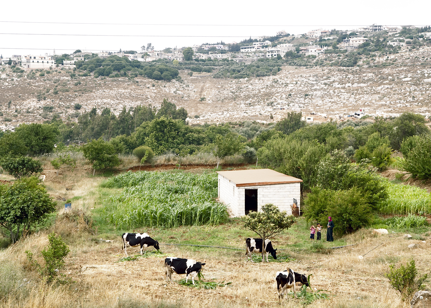 Border areas in the north of Lebanon host most of the Syrian refugees