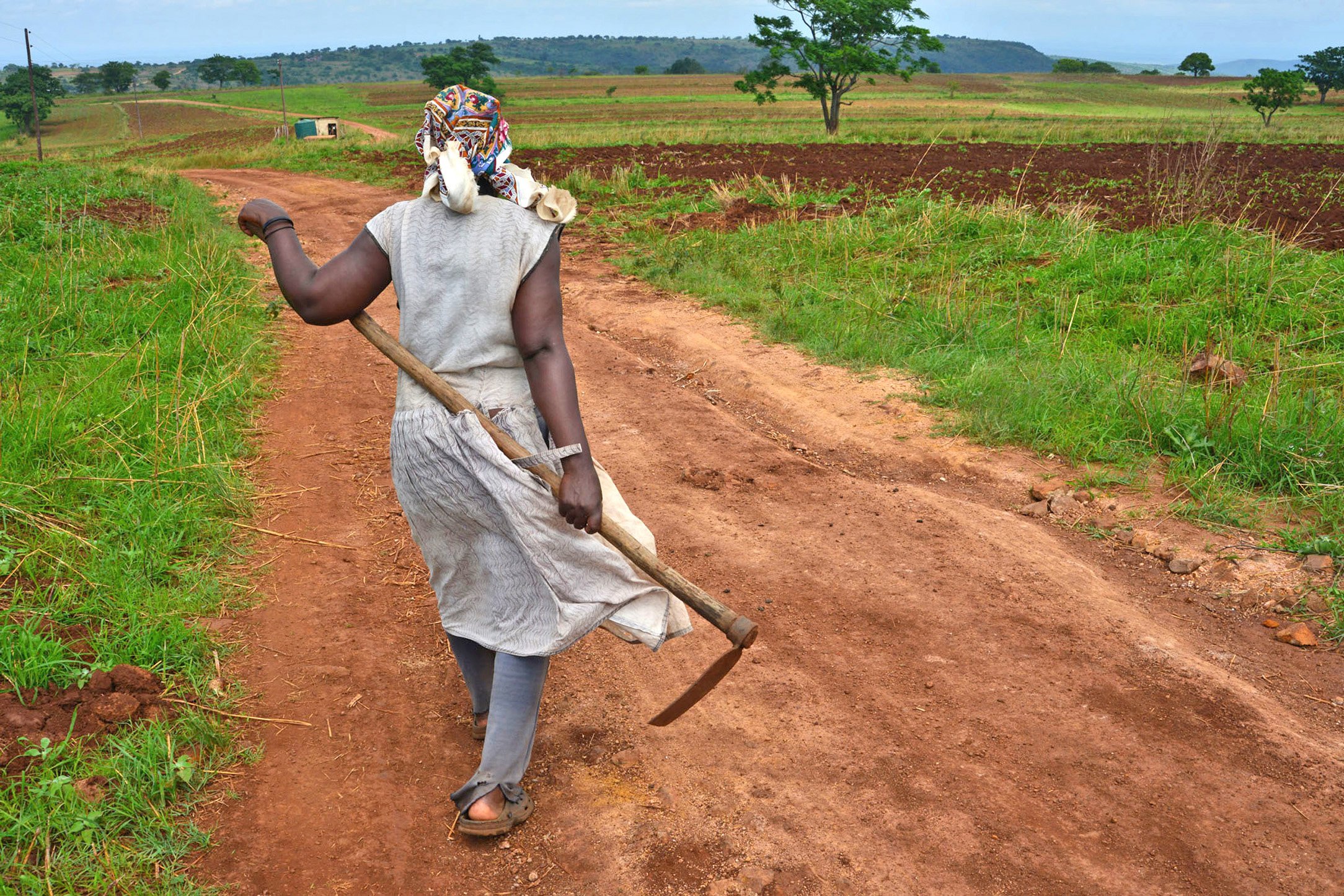 A farmer in the village of Shewula in Swaziland’s eastern Lubombo region