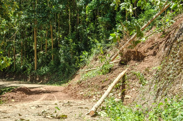 A road that just been cleared from a landslide in Ban Houythao, northern Luang Prabang Province