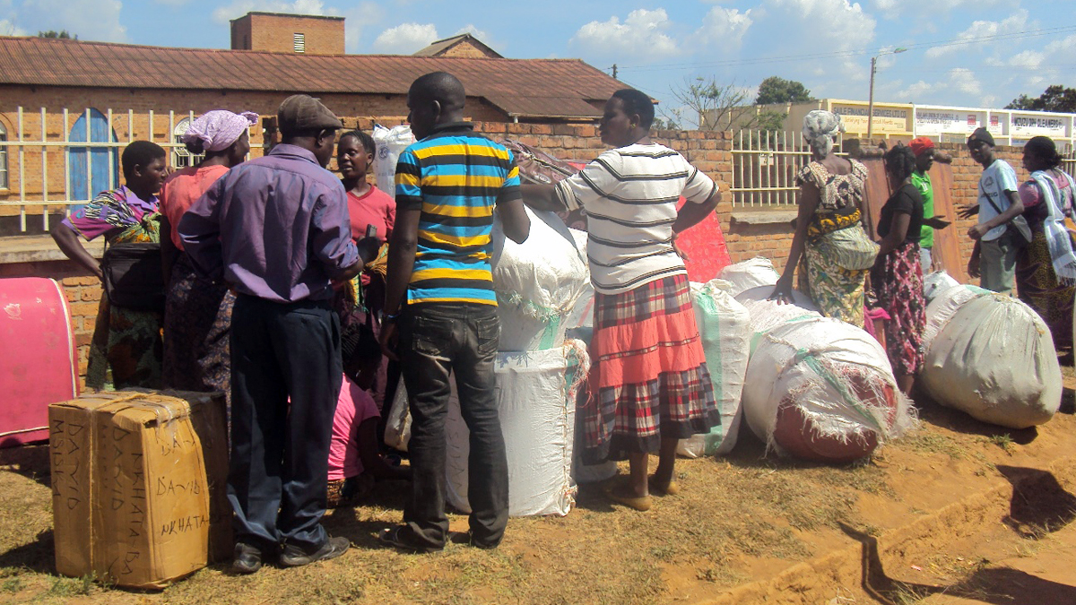 Hundreds of Malawians fleeing attacks in Tanzania are now stranded in the northern city of Mzuzu without funds to continue their journeys home