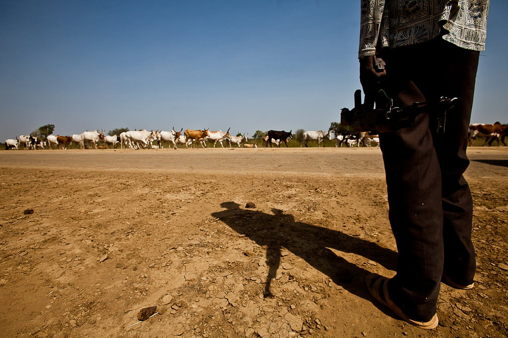 An armed Dinka herdsman watches over his cattle near Abyei (December 2010)