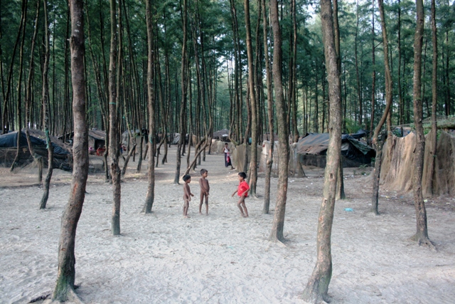 A group of Rohingya children play amongst the trees outside their home in southeastern Bangladesh. The majority of Rohingya refugees are undocumented, receiving limited or no assistance 