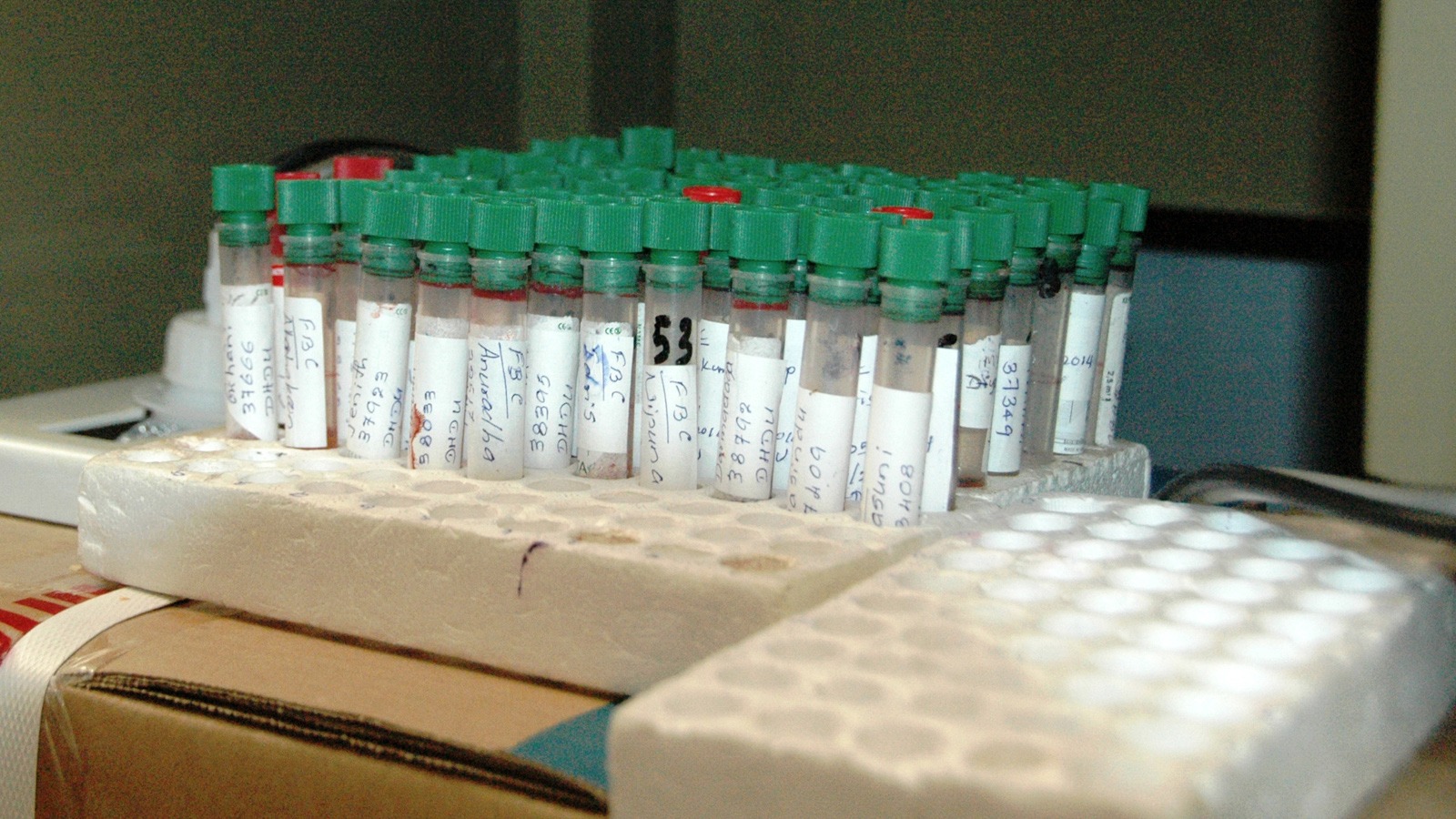 Early blood tests have become essential to care for Dengue infections.