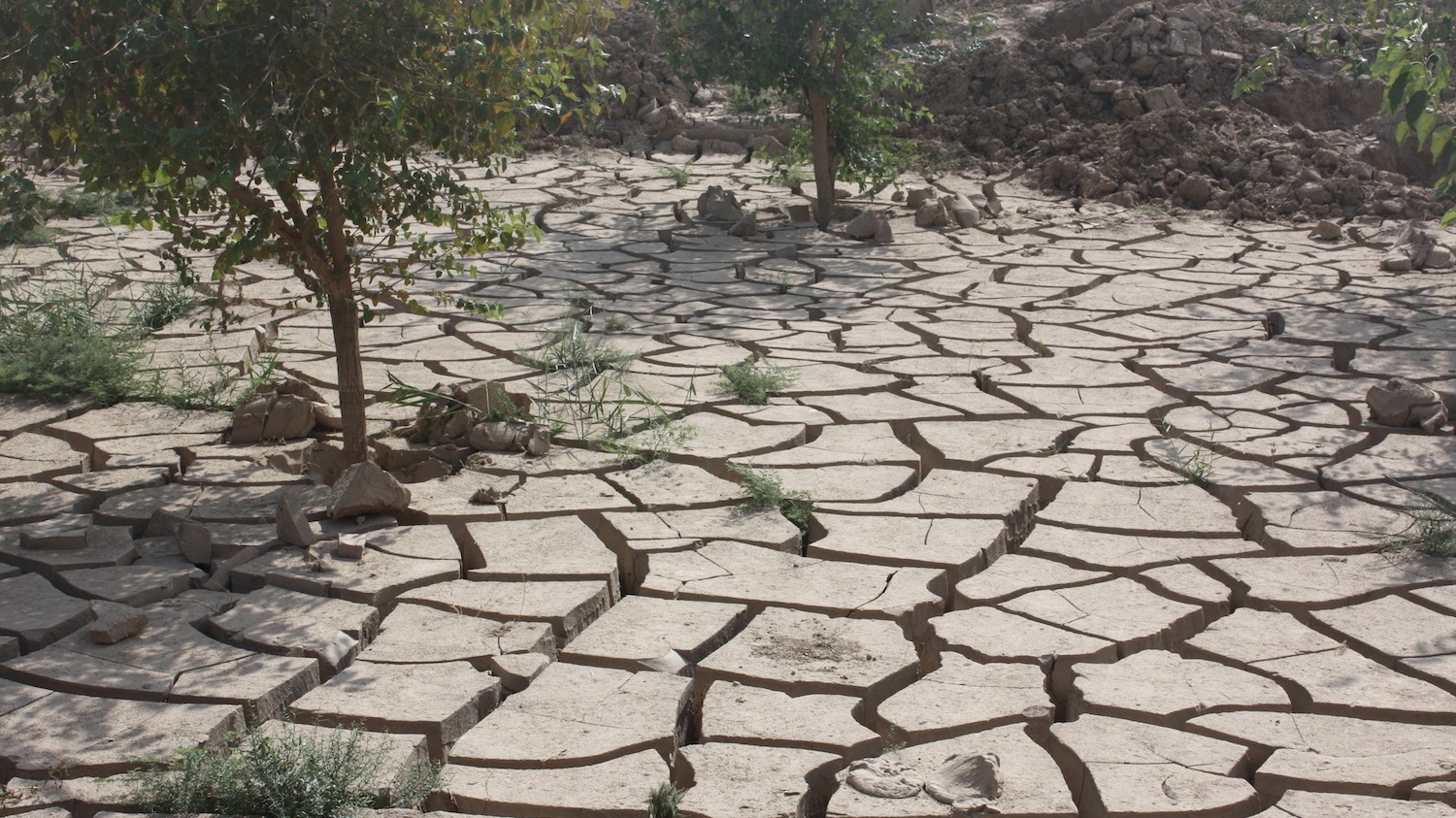 Parched earth following a drought in northern Afghanistan. The region has been hit by increasingly unpredictable weather, with most experts agreeing it is an effect of climate change.