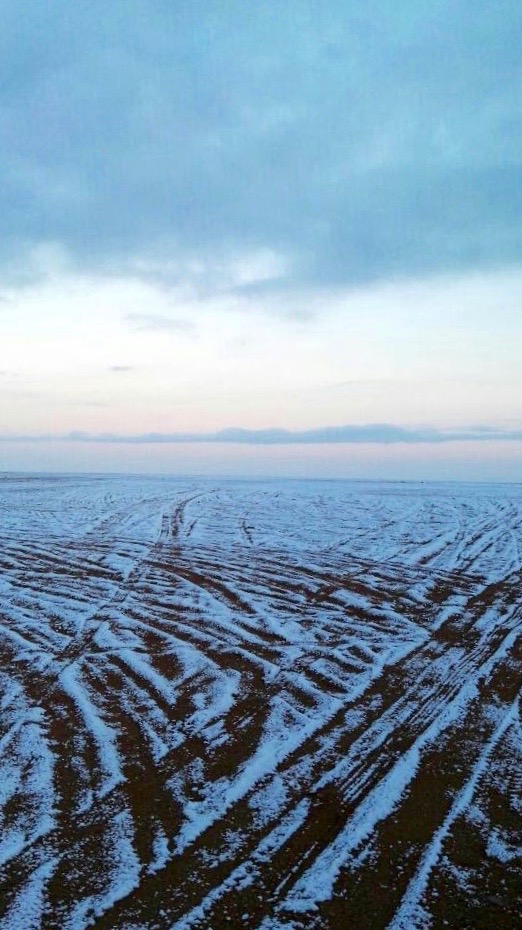 Tyre tracks in the snowy desert at the Jordan-Syria border