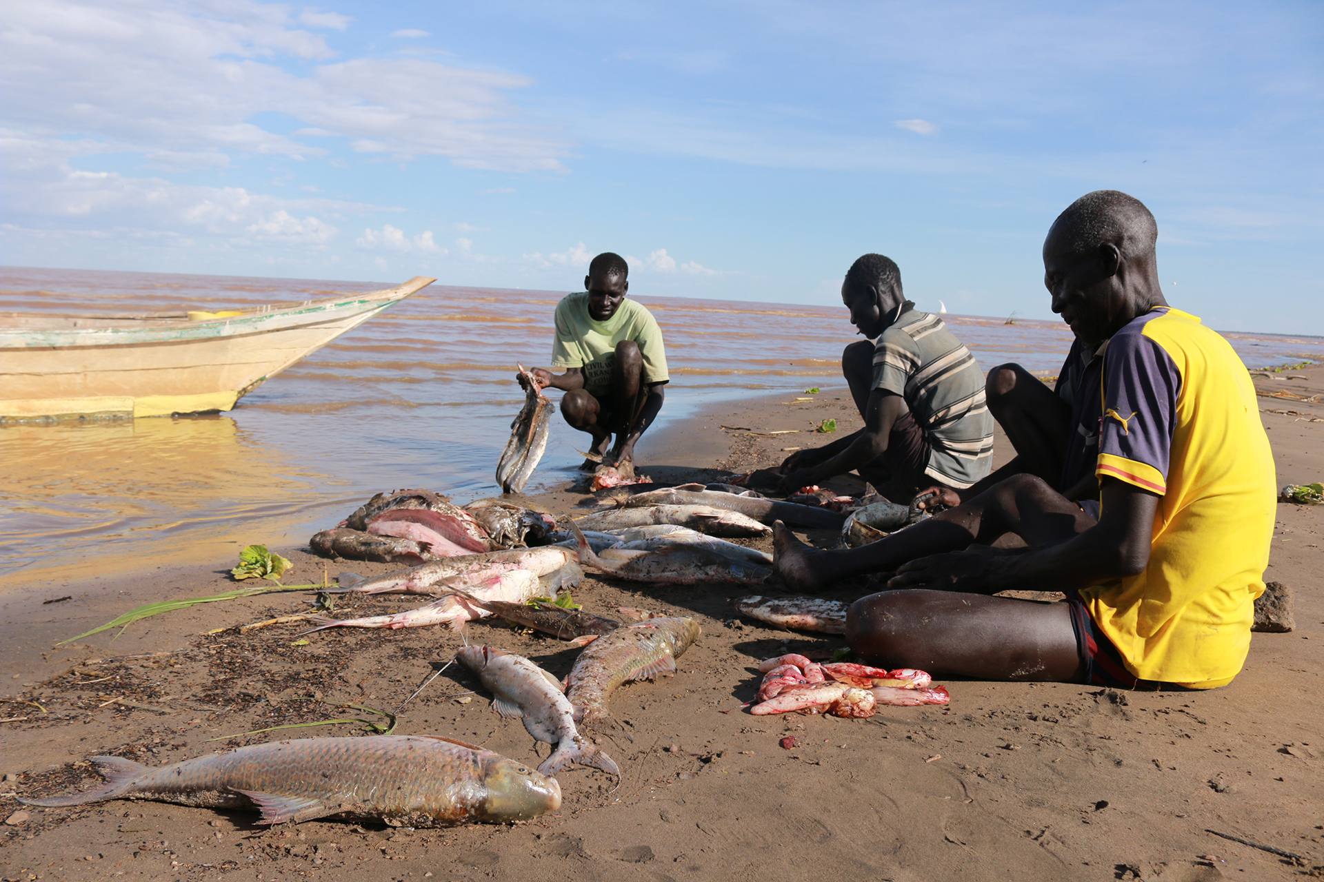 Fishermen with fish on the shore of Lake Turkana