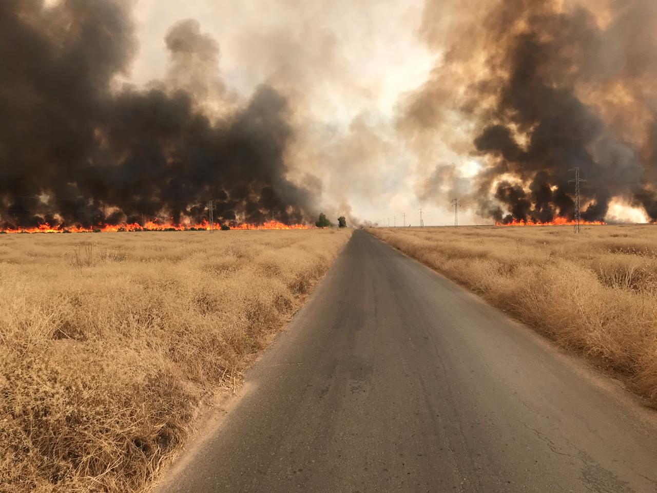 Photo of crop burning fires in Sinjar Iraq