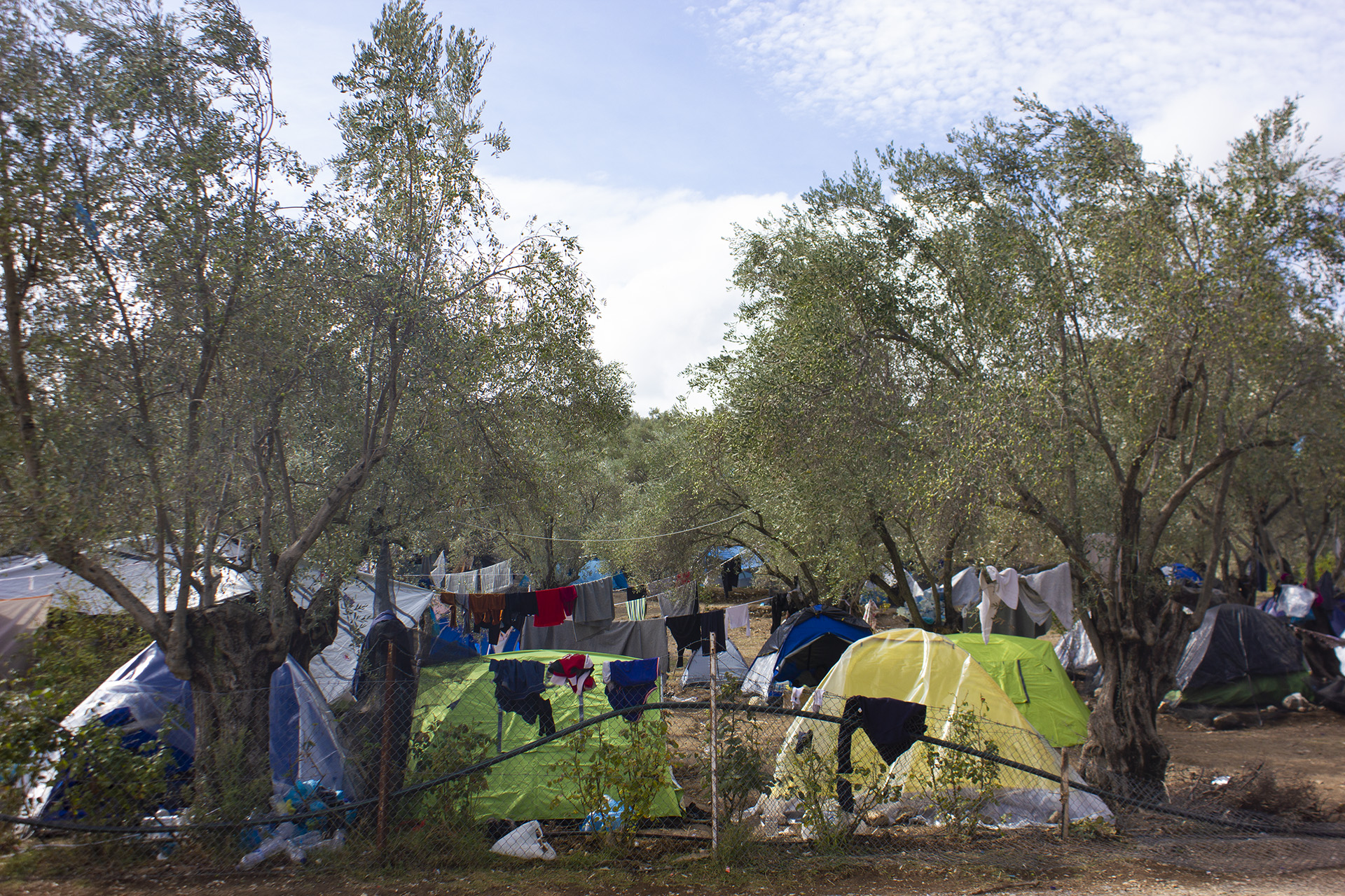 Summer camping tents housing recently arrived refugees in the olive grove surrounding Moria refugee camp on the Greek island of Lesvos, October 2019.