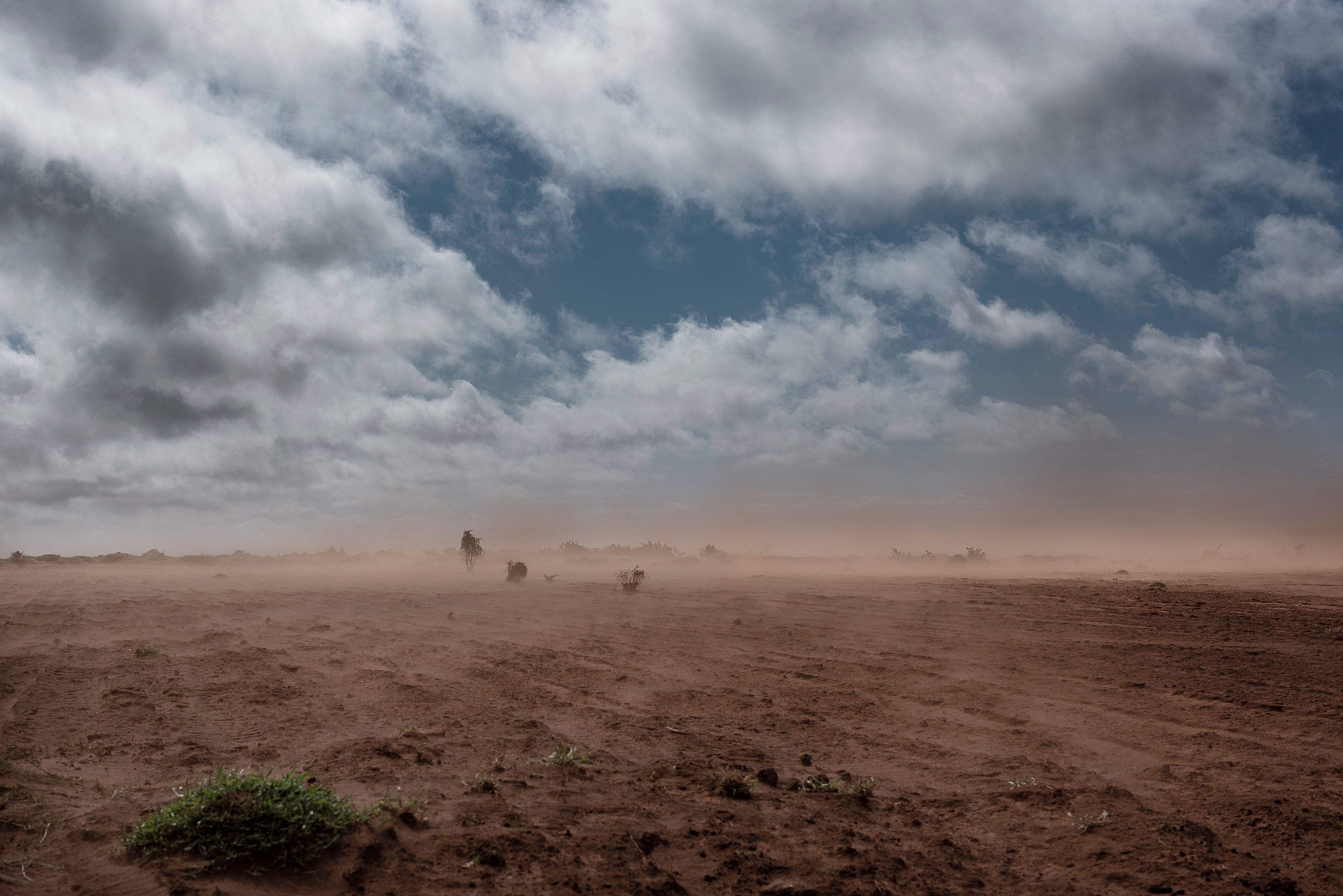 Drought and sandstorms, a consequence of deforestation, are driving food insecurity in southern Madagascar, where an estimated 500,000 children under the age of five are suffering acute malnutrition.