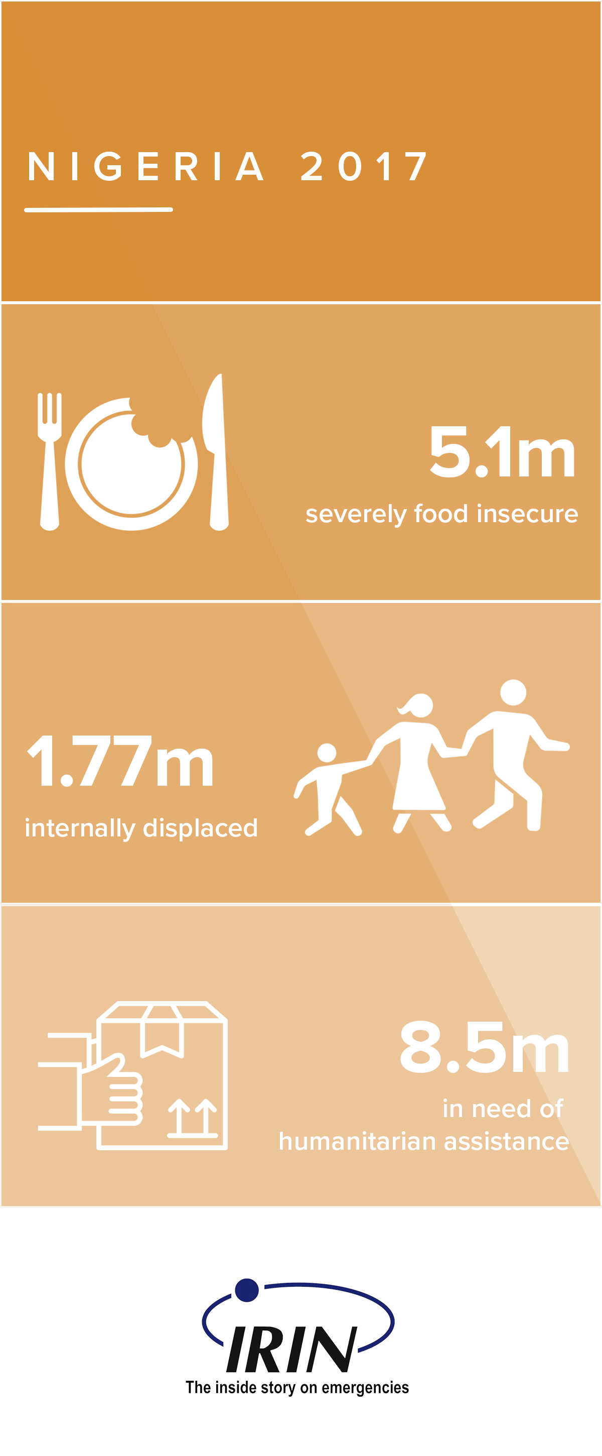 Famine in Nigeria's Lake Chad Basin