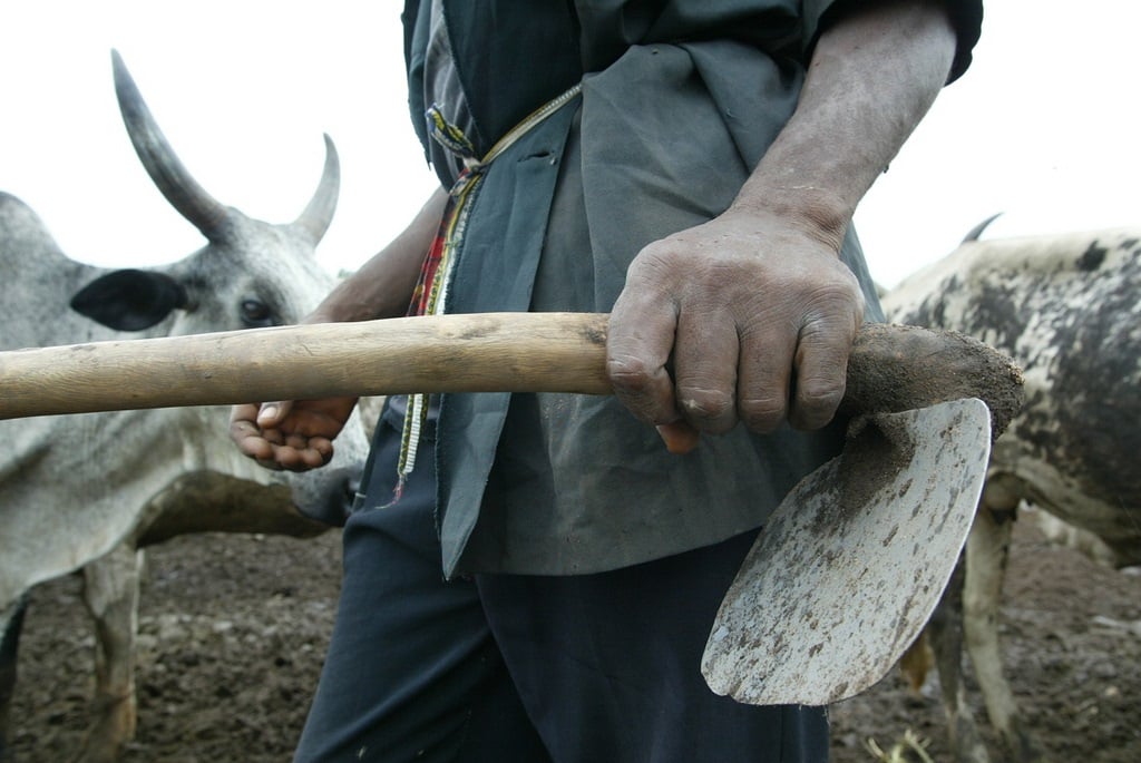 Nigerian farmer