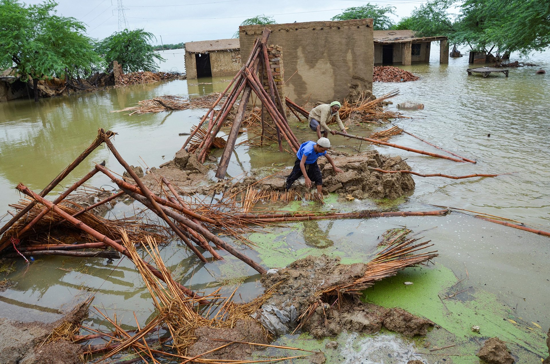 Survivors retrieve bamboo poles from the floodwaters as houses are washed away in Dera Allah Yar, a town in Balochistan province, on 25 August 2022.