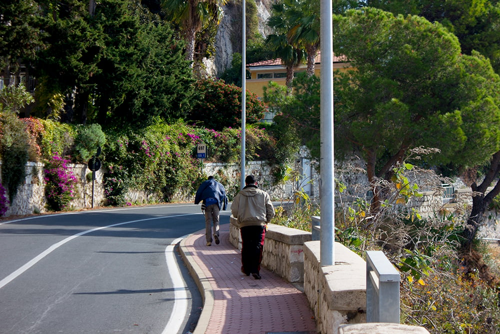 Two figures walk down a sidewalk amidst greenery and flowers