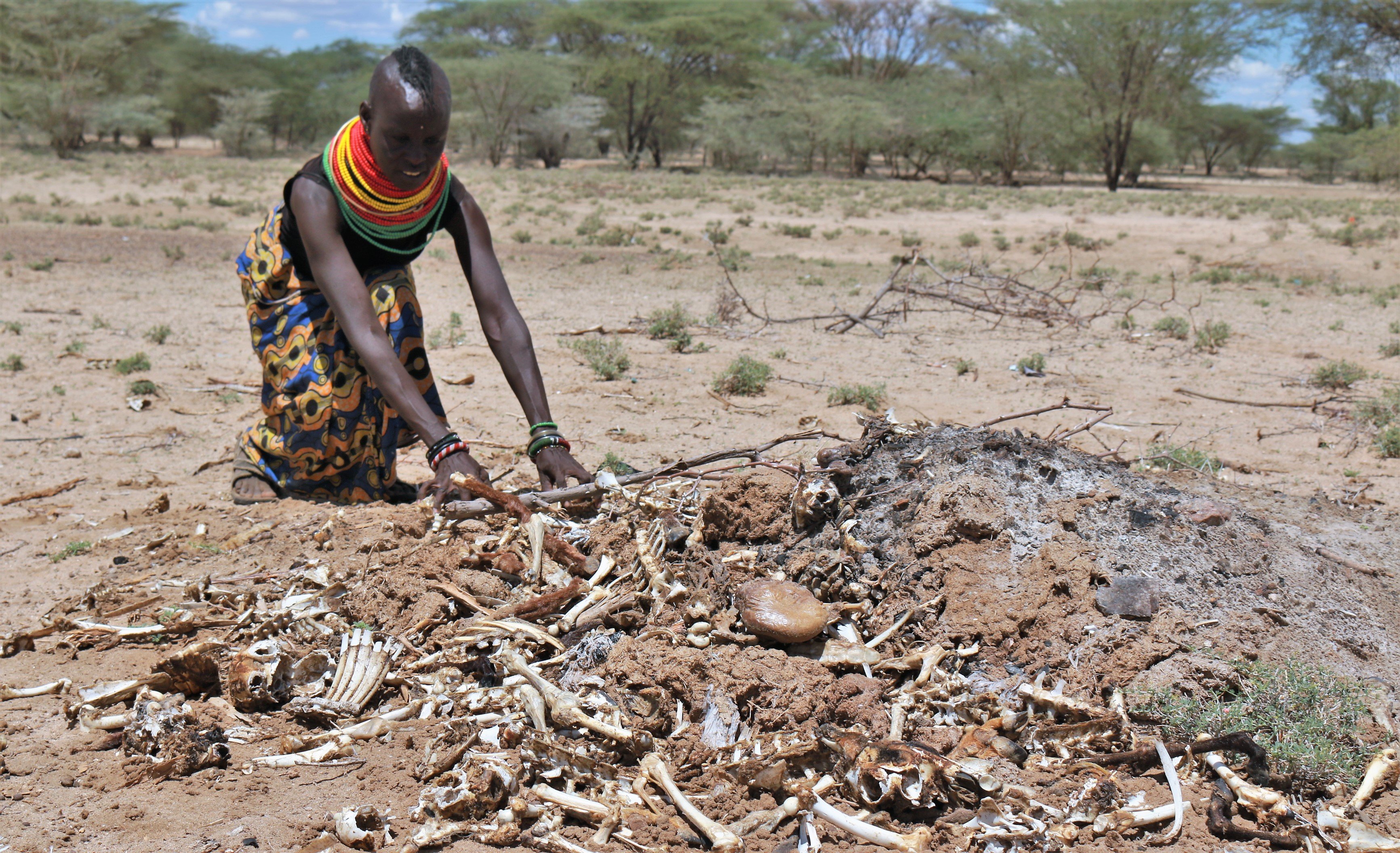 Turkana women with goat carcases