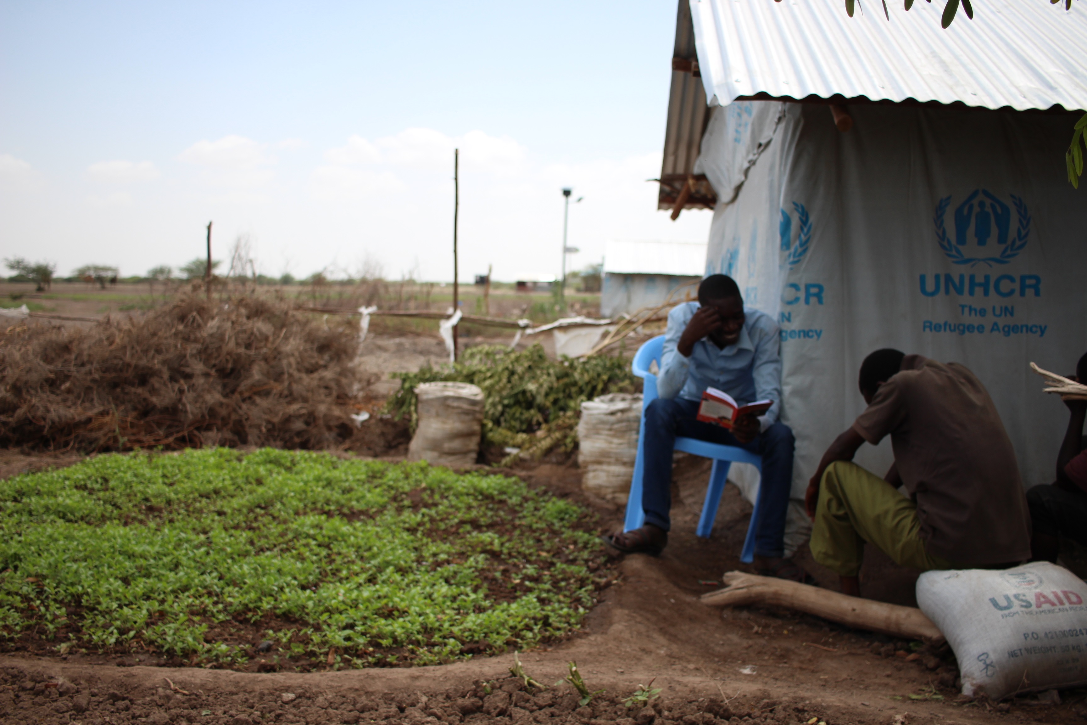 Kalobeyei refugee settlement