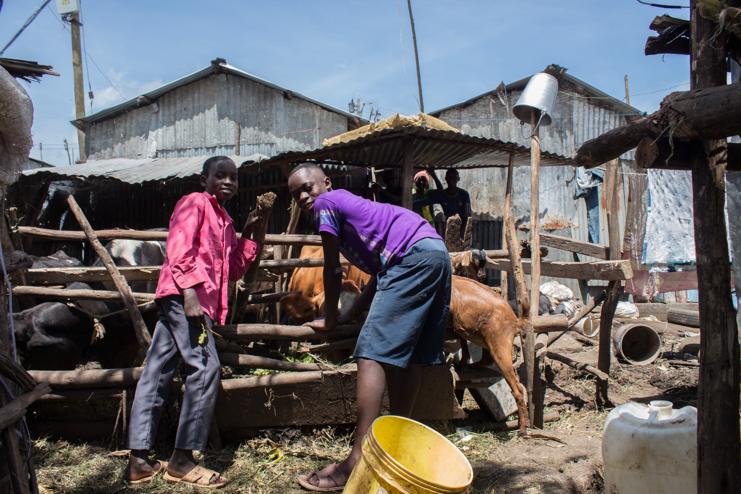 Trying to make ends meet in Mukuru