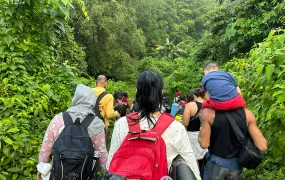 A photo taken from the back showing a group of migrants as they cross the swamp rainforest of the Darién Gap. They are surrounded by folliage.