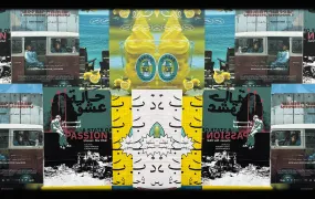 An illustration of a mirrored image that shows movie posters for Palestinian films.