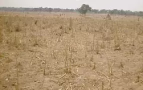 [Namibia] Namibia's climate makes farming difficult.