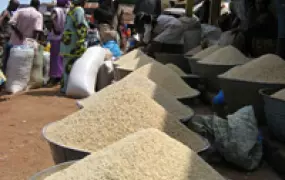 [Guinea] Rice on sale at a market in Guinea.