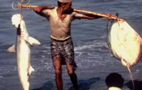 [Yemen] Fisherman with catch near Hodeida on the Red Sea. Date: 1981