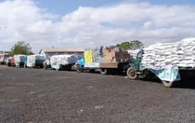 [Djibouti] Food donated by Djiboutian businessmen for drought-affected people, at a collection centre in Djiboutiville. [Date picture taken: 02/13/2006]