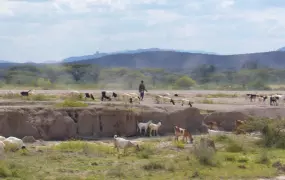 View of a semi-arid landscape in Isiolo, eastern Kenya. July 2007. Livestock keeping is the main activity in arid and semi-arid areas, which are mostly inhabited by pastoralists.