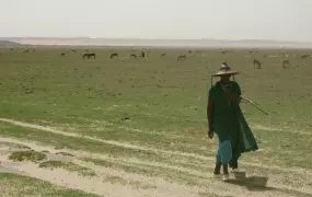 Lactib, a pastoralist in northern Mali who says his animals are small and weak because of poor rainfalls