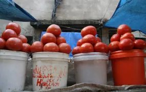 The food security situation has improved for most households in rural areas following good Msimu rains, Arusha, Tanzania 2008.