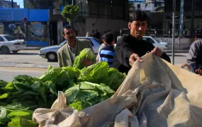 Vegetables on sale at a market in Gaza