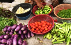 Farmers in Myanmar are often unaware of the risks of using pesticides on their fruits and vegetables