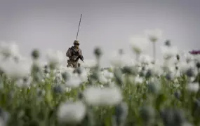 A Marine patrols through a poppy field in Mian Poshteh, Helmand Province