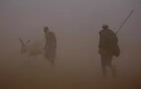 Herders walk through a sand storm in an arid landscape near the border town of Moyale in northern Kenya 