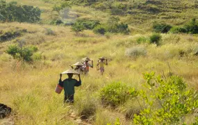 A group of girls aged 8-15 walk two hours into the mountains north of Ankavandra, Madagascar, to pan for gold 