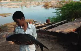 A young boy holds a fish in rural Cambodia. Despite strong economic growth, much of the country remains dependent on a rural economy and natural resources